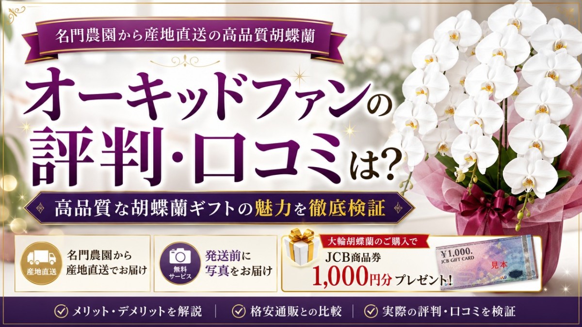 オーキッドファンの評判・口コミは?高品質な胡蝶蘭ギフトの魅力を徹底検証