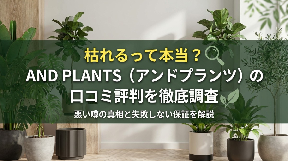 枯れるって本当？AND PLANTS（アンドプランツ）の口コミ評判を徹底調査