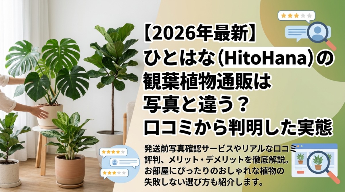 【2026年最新】ひとはな(HitoHana)の観葉植物通販は写真と違う?口コミから判明した実態