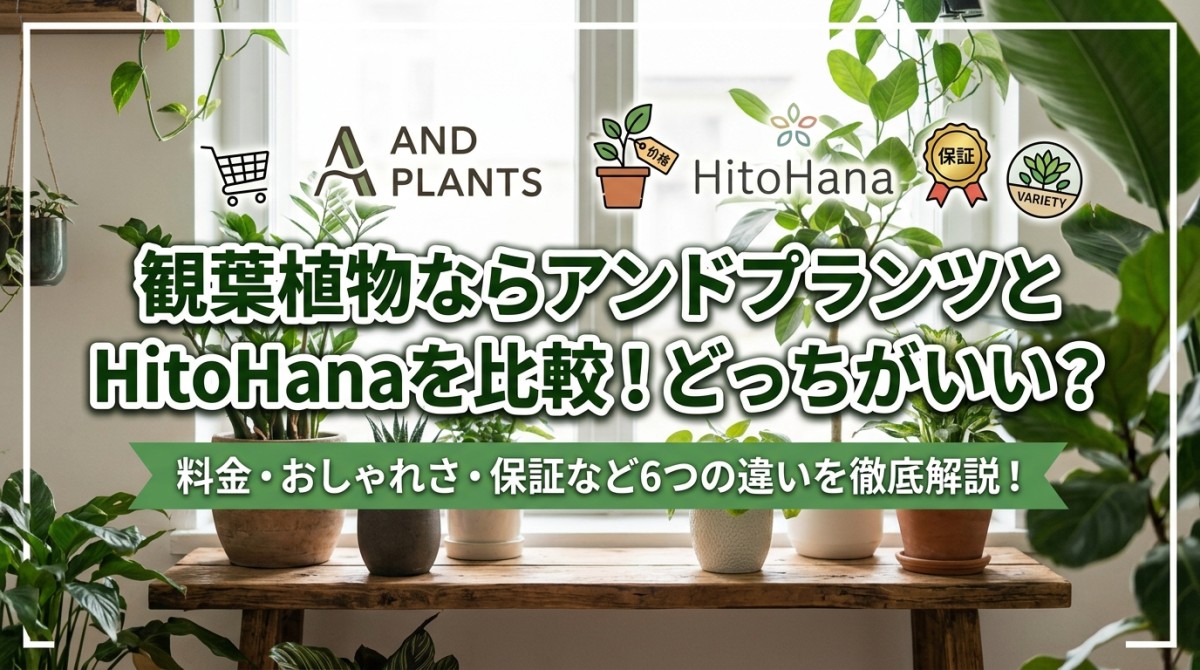 観葉植物ならアンドプランツとHitoHanaを比較!どっちがいい?