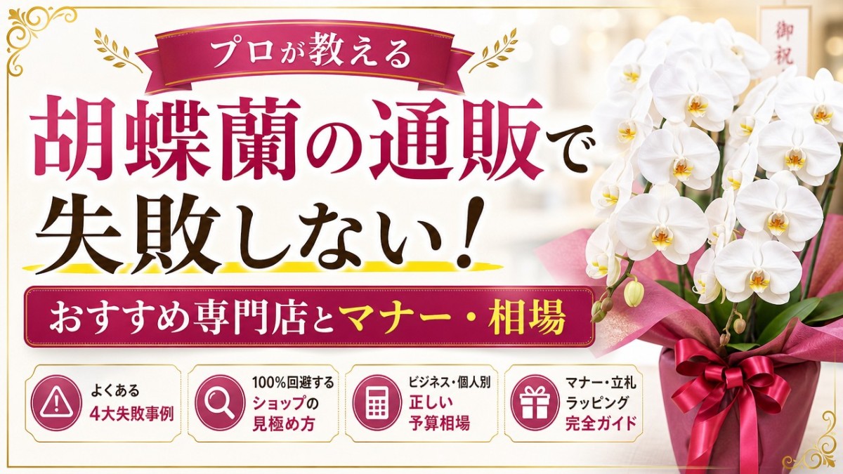 胡蝶蘭の通販で失敗しない!プロが教えるおすすめ専門店とマナー・相場