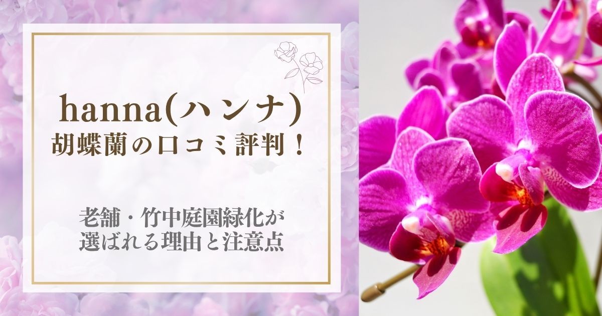 【2026年最新】hanna(ハンナ)胡蝶蘭の口コミ評判!老舗・竹中庭園緑化が選ばれる理由と注意点