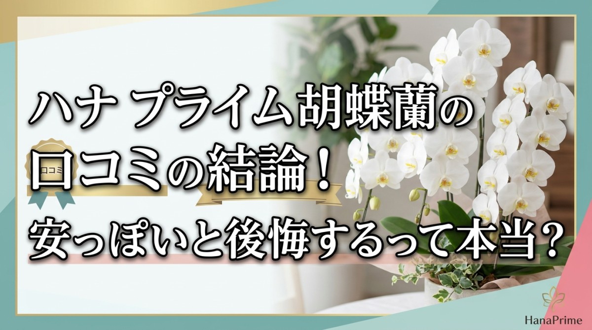 ハナ プライム 胡蝶蘭の口コミの結論!安っぽいと後悔するって本当?