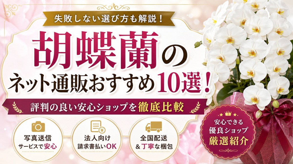 胡蝶蘭のネット通販おすすめ10選!評判の良い安心ショップを徹底比較