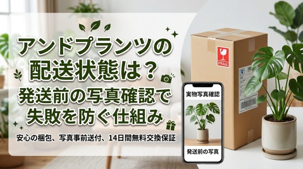 アンドプランツの配送状態は？発送前の写真確認で失敗を防ぐ仕組み